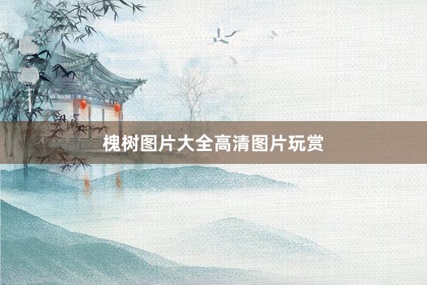 槐树图片大全高清图片玩赏
